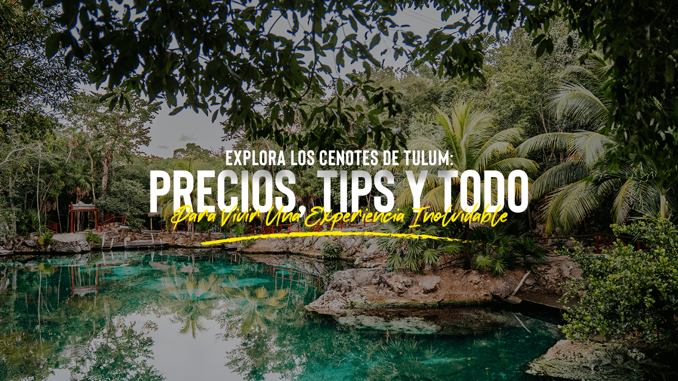 Explora los Cenotes de Tulum! | Precios y Consejos para una Experiencia Inolvidable