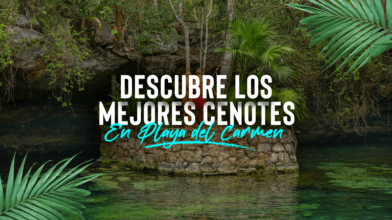 Descubre Los Mejores Cenotes En Playa del Carmen | ¡Te Sorprenderá!