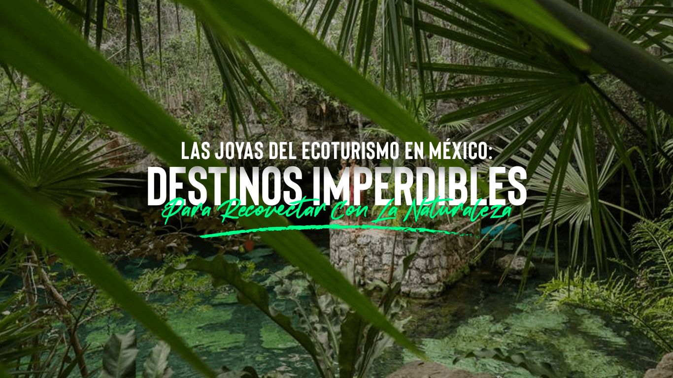 ¡Las Joyas del Ecoturismo en México! | Descubre los Destinos más Increíbles para Conectar con la Naturaleza