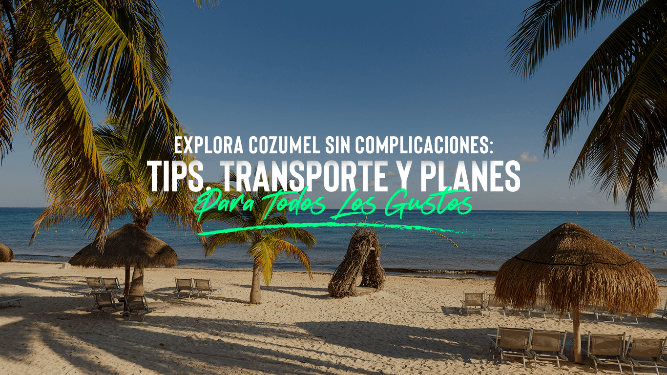 Qué Hacer En Cozumel: Consejos y Transporte | Cómo Moverse y Qué Hacer en Cozumel