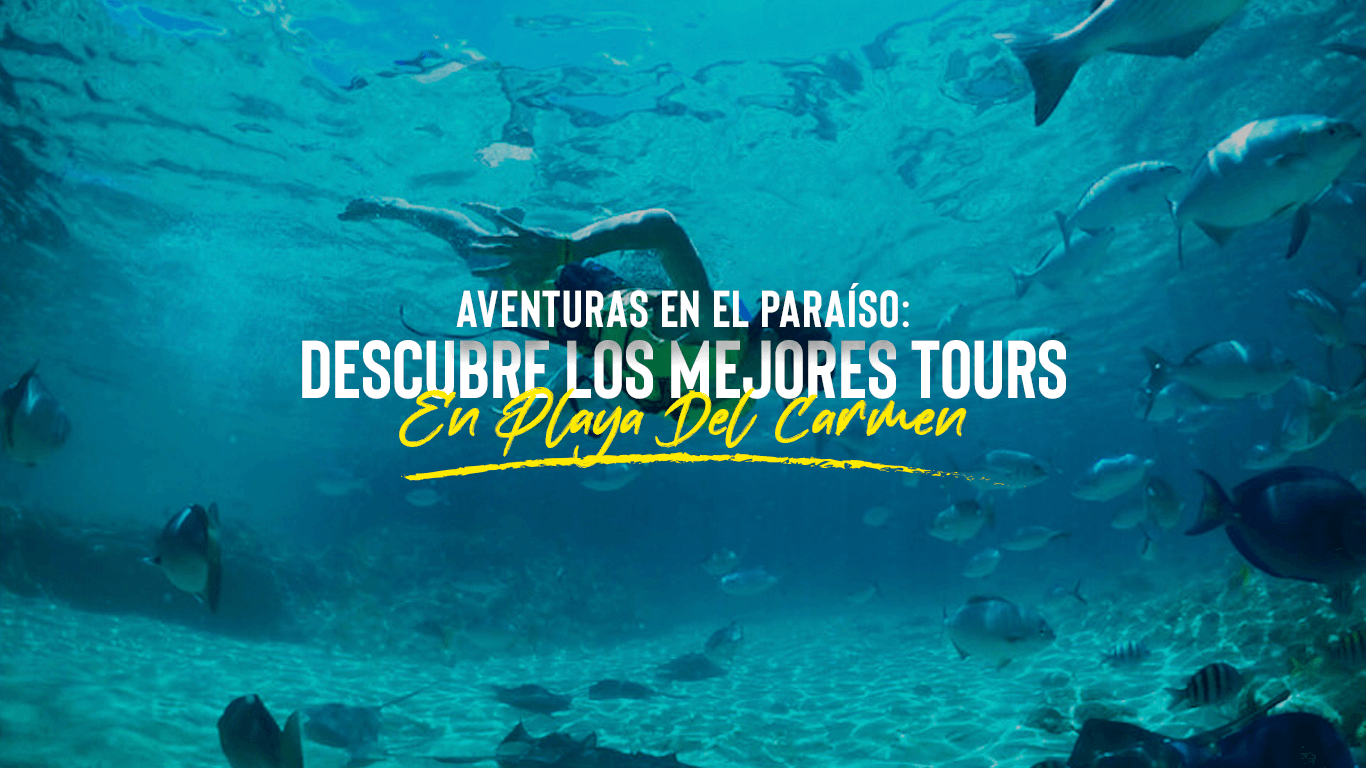 Descubre los Tours Más Increíbles en Playa del Carmen | ¡Haz tu Elección Ahora!