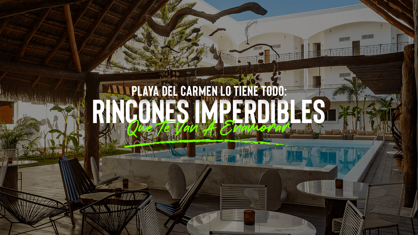 Qué Hacer En Playa Del Carmen: Lo más Bonito | Lugares Imperdibles que Debes Visitar