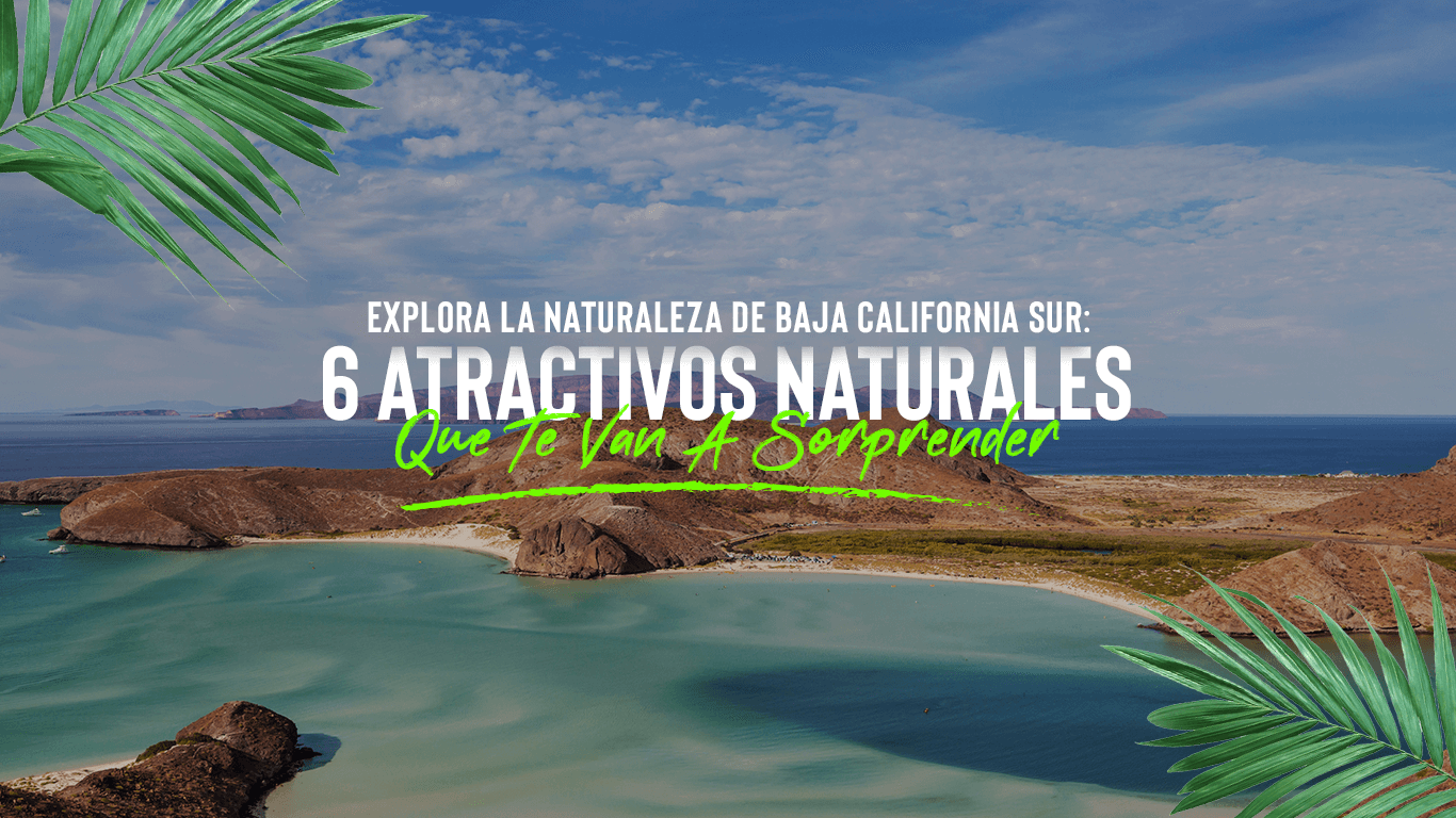 Atractivos naturales de Baja California Sur que debes visitar