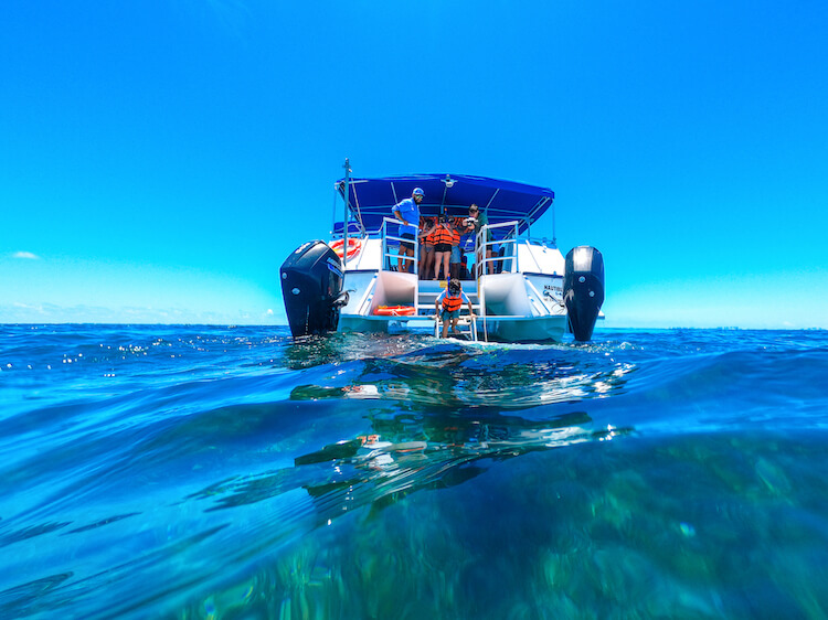 Snorkel Paradise by Nautibus — photo 6