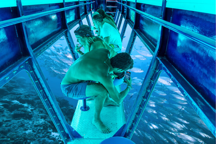 Snorkel Paradise by Nautibus — photo 1