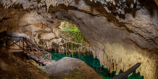 Cenotes Zapote Prehistoric Park — foto 2 de 5